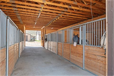 Tiny photo for 364 W 3000 S, Daniel, UT 84032 (MLS # 2147850)