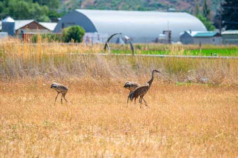 Tiny photo for 364 W 3000 S, Daniel, UT 84032 (MLS # 2147850)