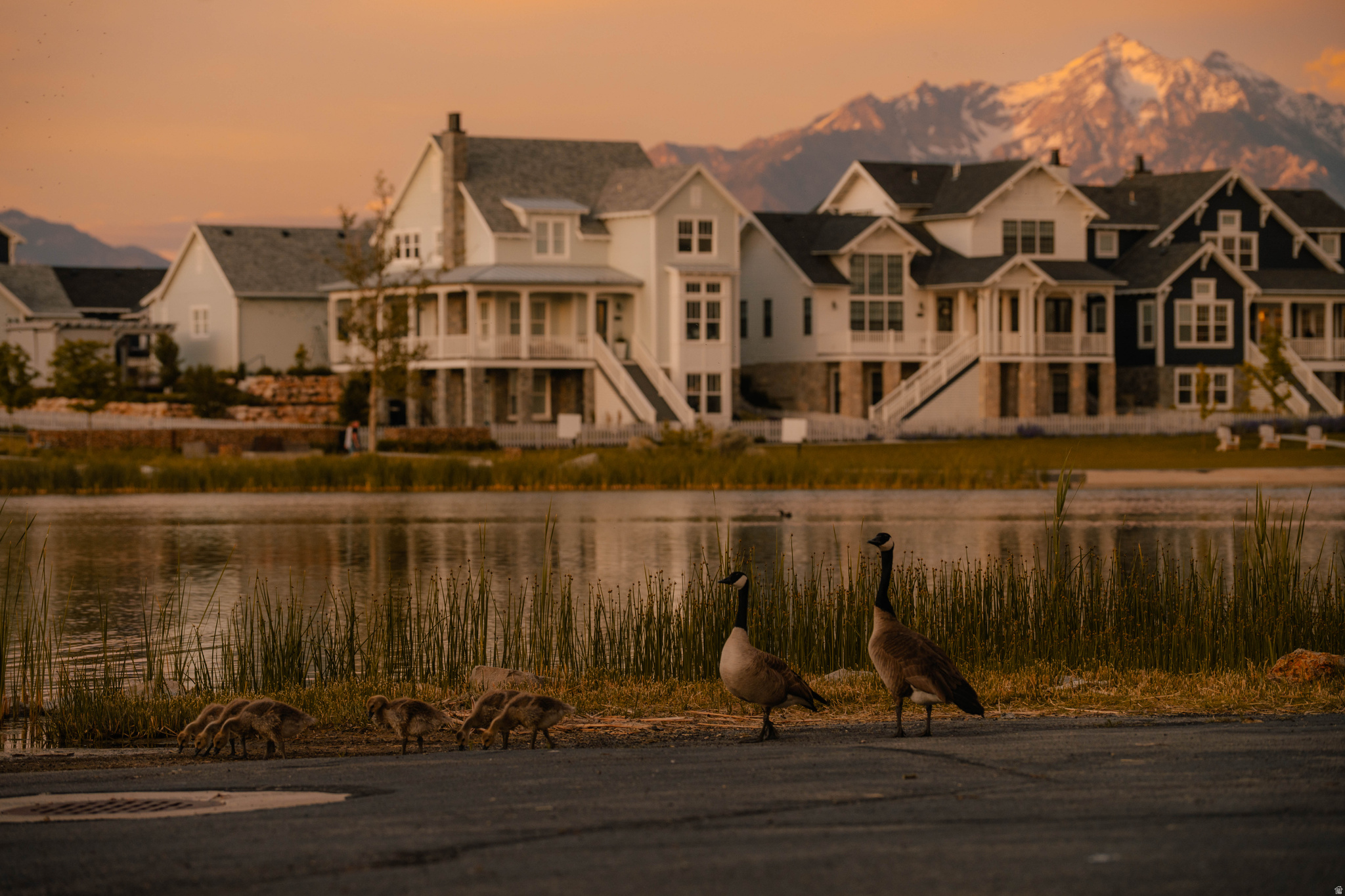 DAYBREAK, EASTLAKE VILLAGE - Residential