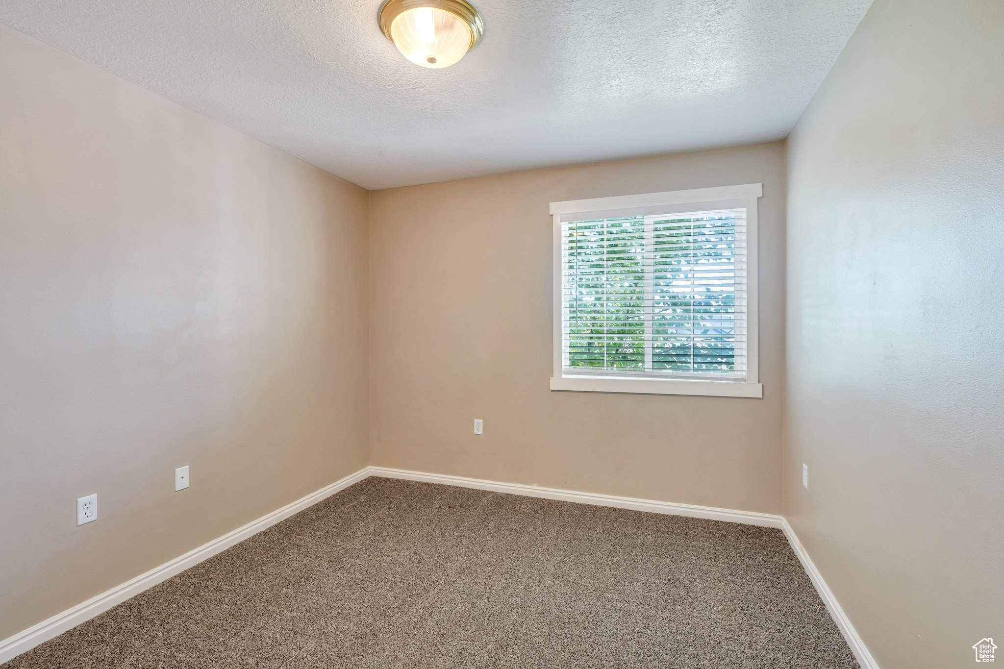 160 W Daybreak Ln, Saratoga Springs, Utah image 11