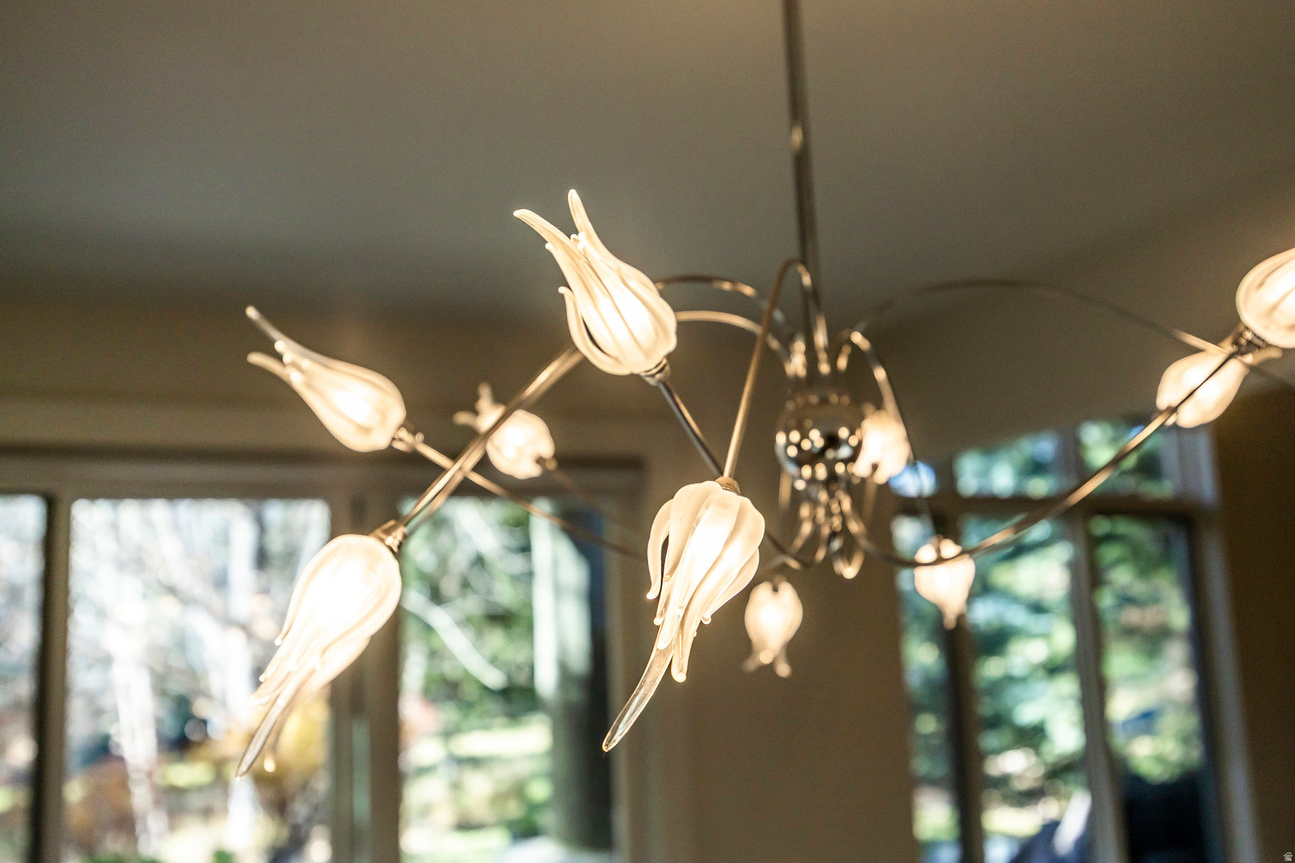 COVE AT EAGLE MOUNTAIN - Residential