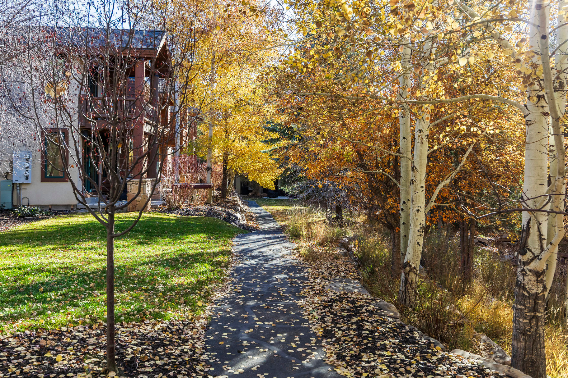 COVE AT EAGLE MOUNTAIN - Residential