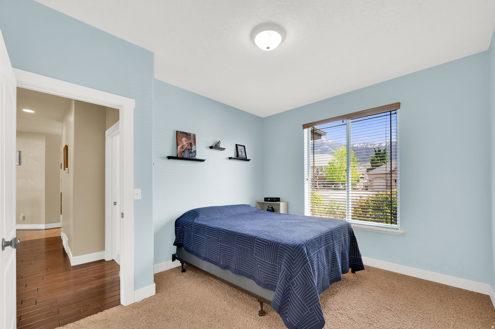 MOUNT LOAFER VIEW - Residential