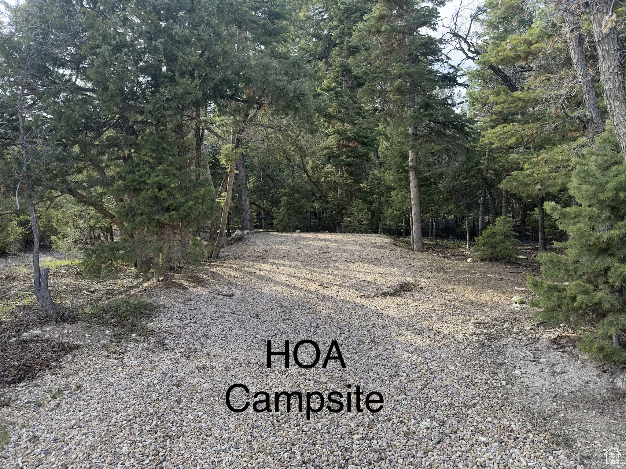 PINE CREEK RANCH - Land