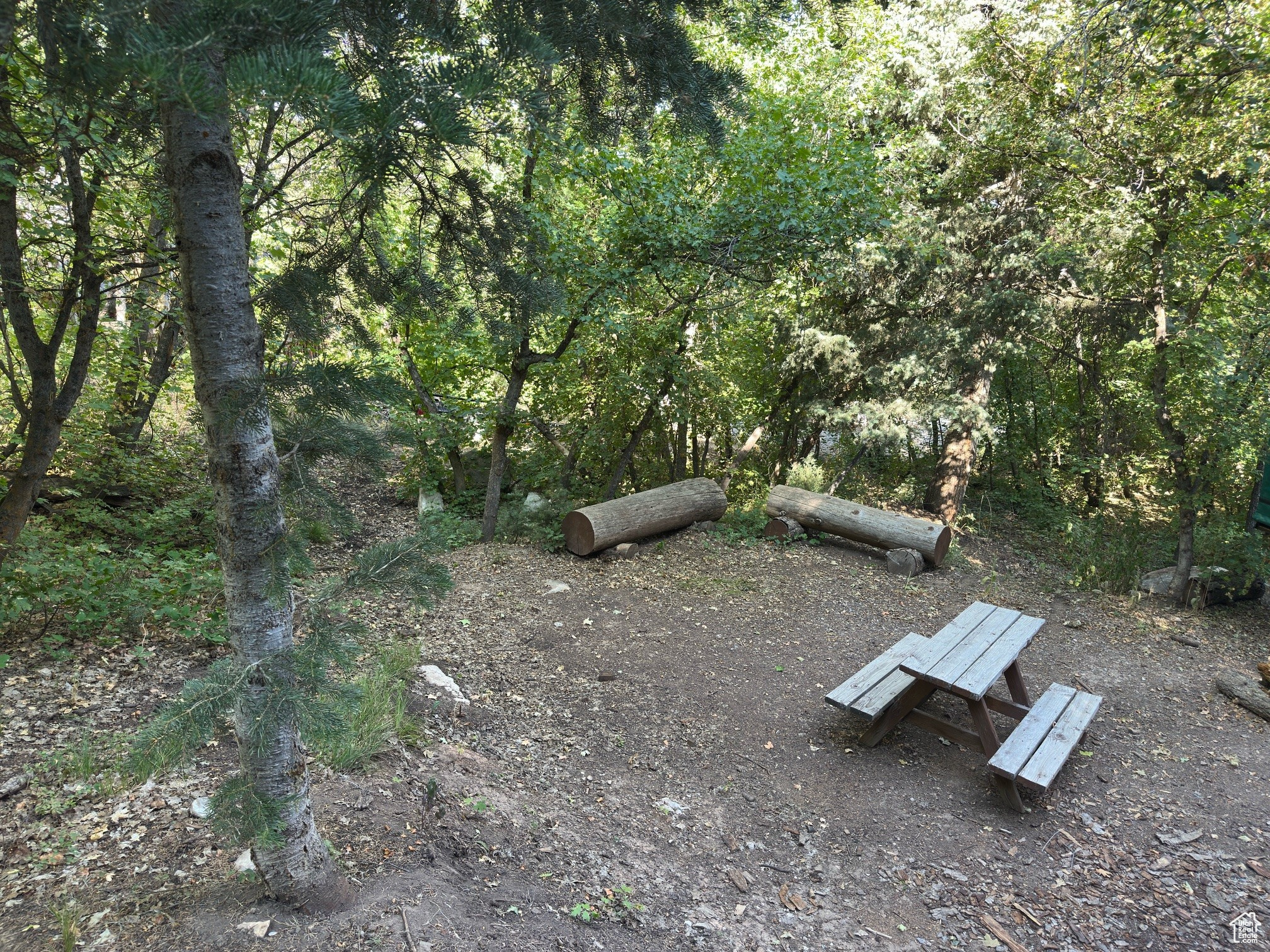 PINE CREEK RANCH - Land