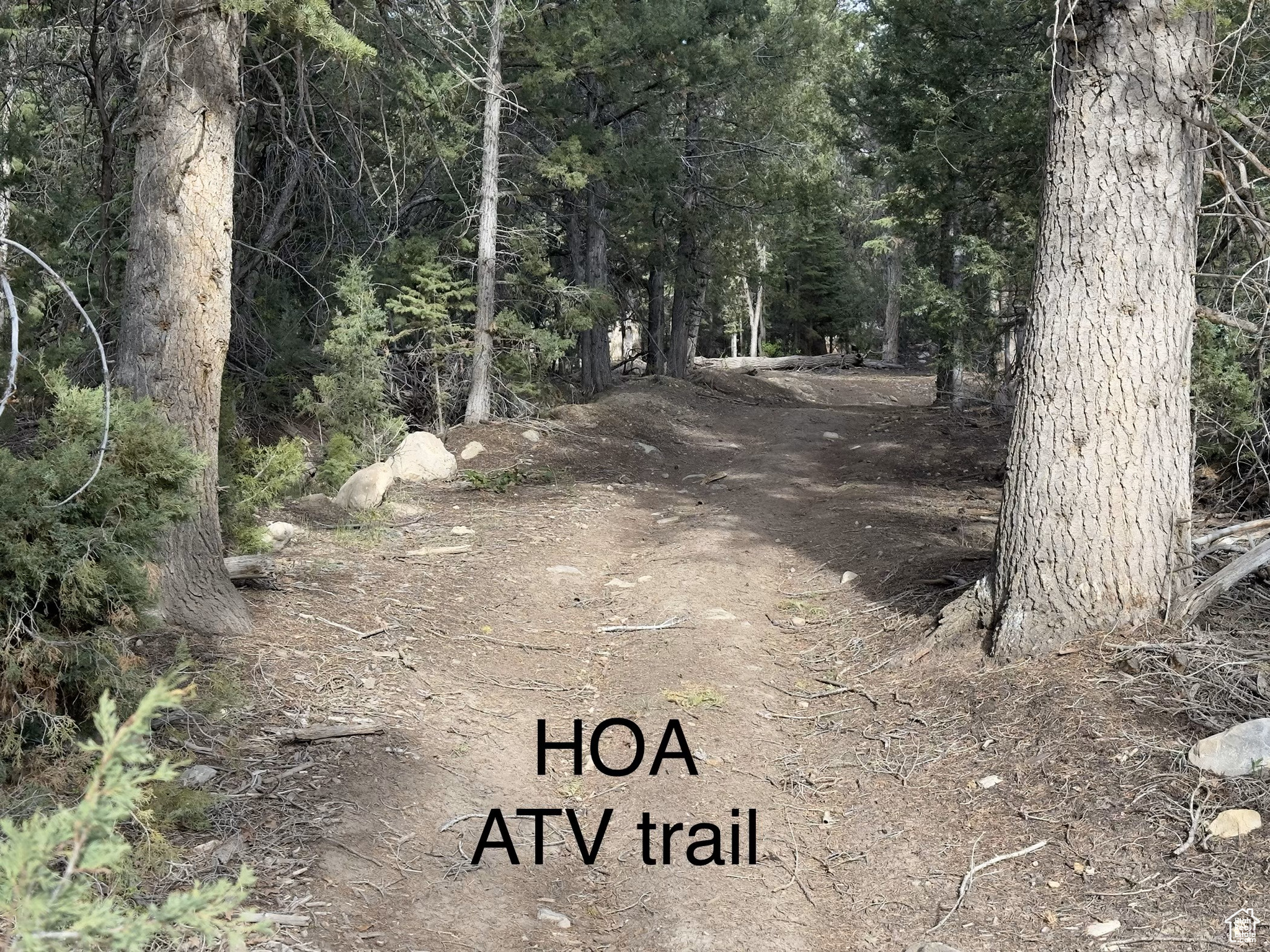 PINE CREEK RANCH - Land