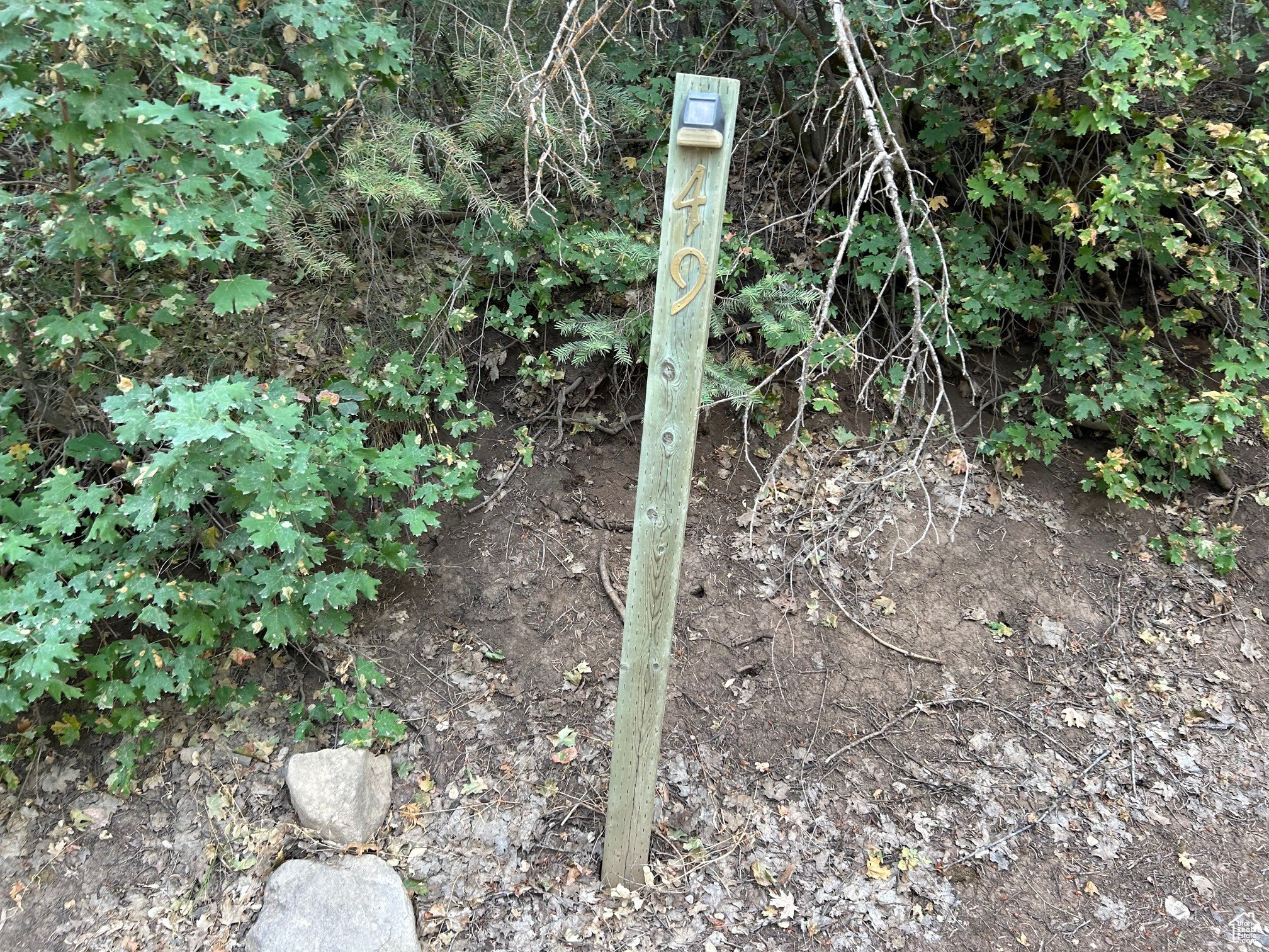 PINE CREEK RANCH - Land