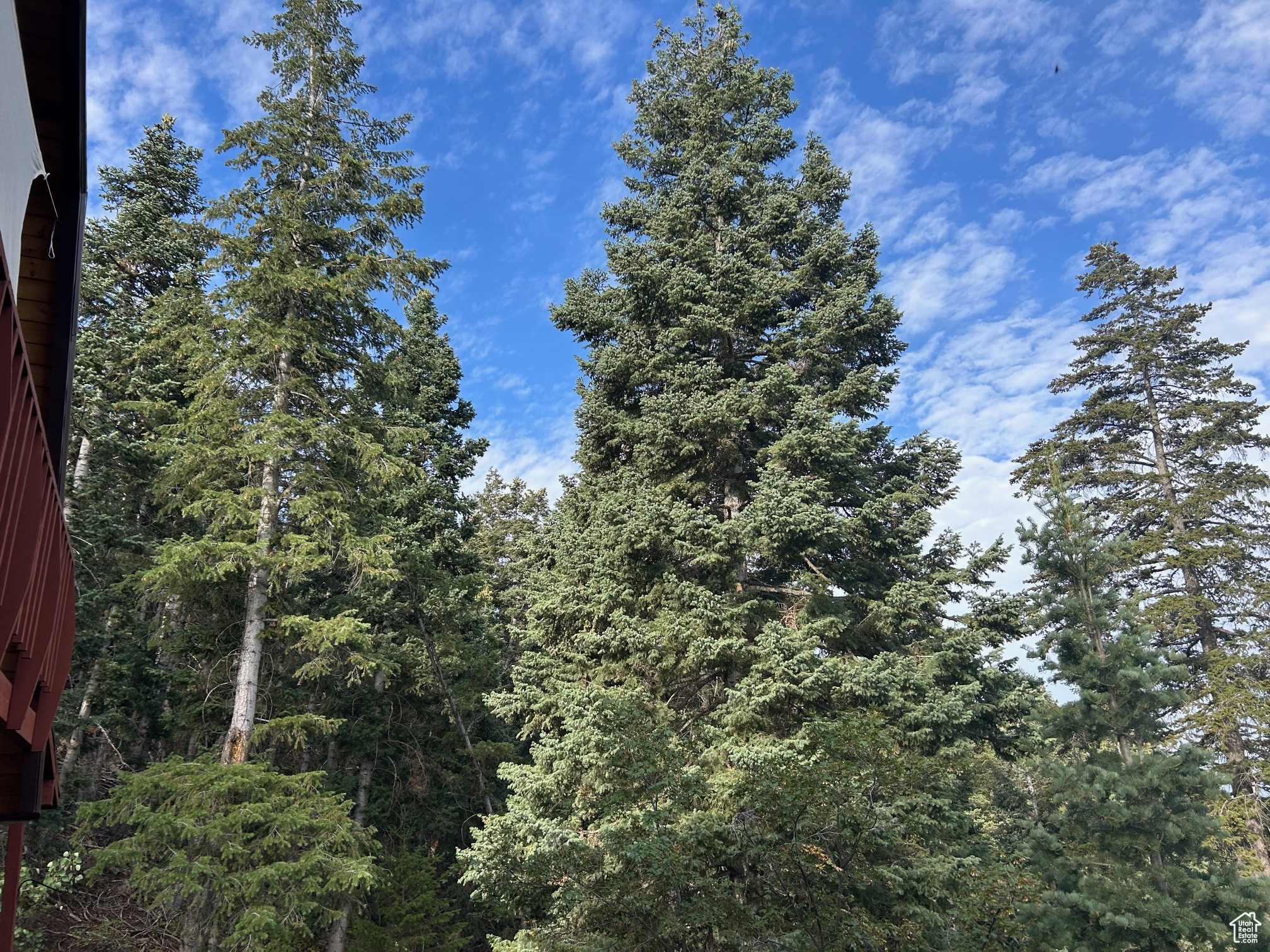 PINE CREEK RANCH - Land