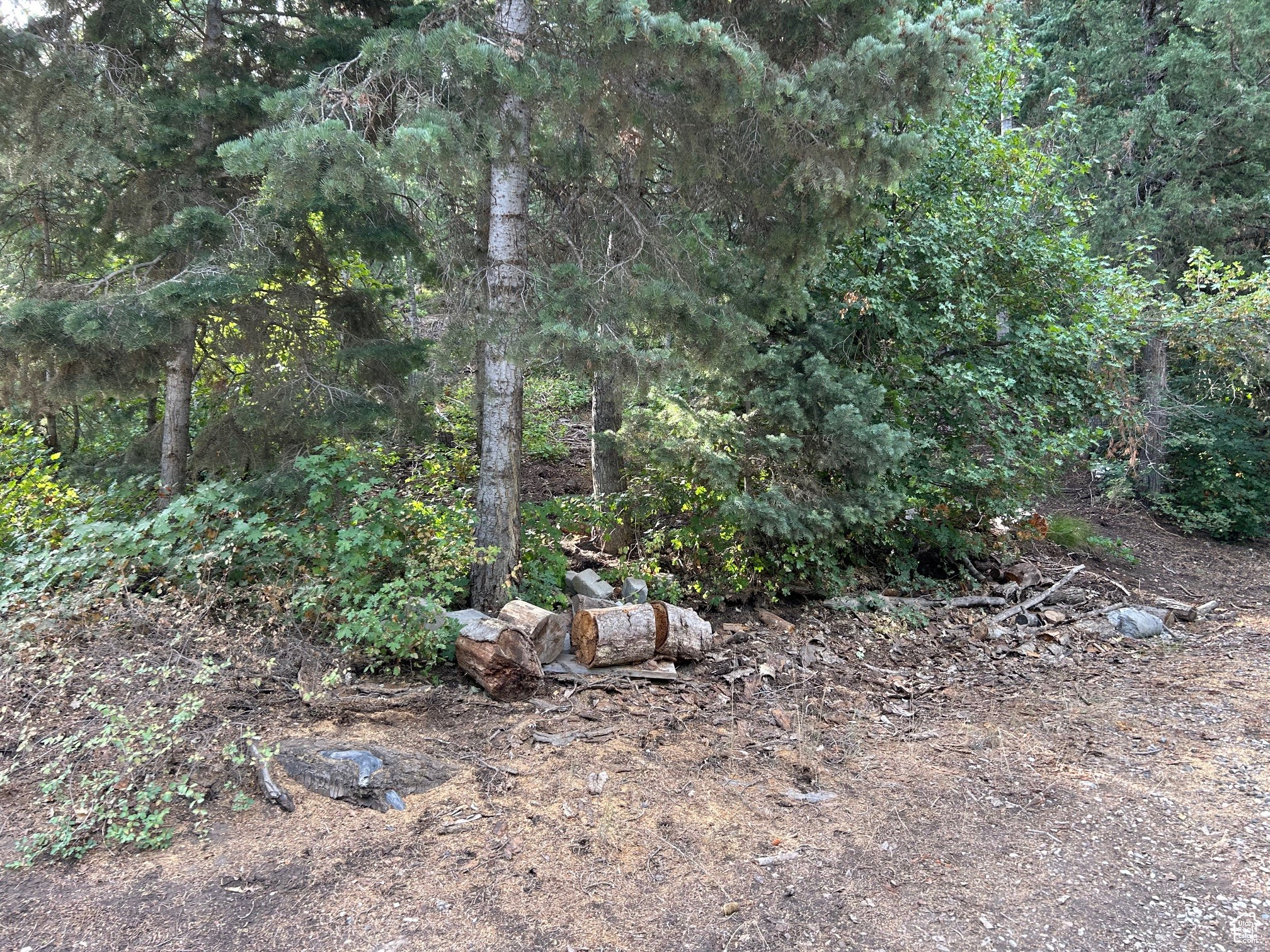 PINE CREEK RANCH - Land