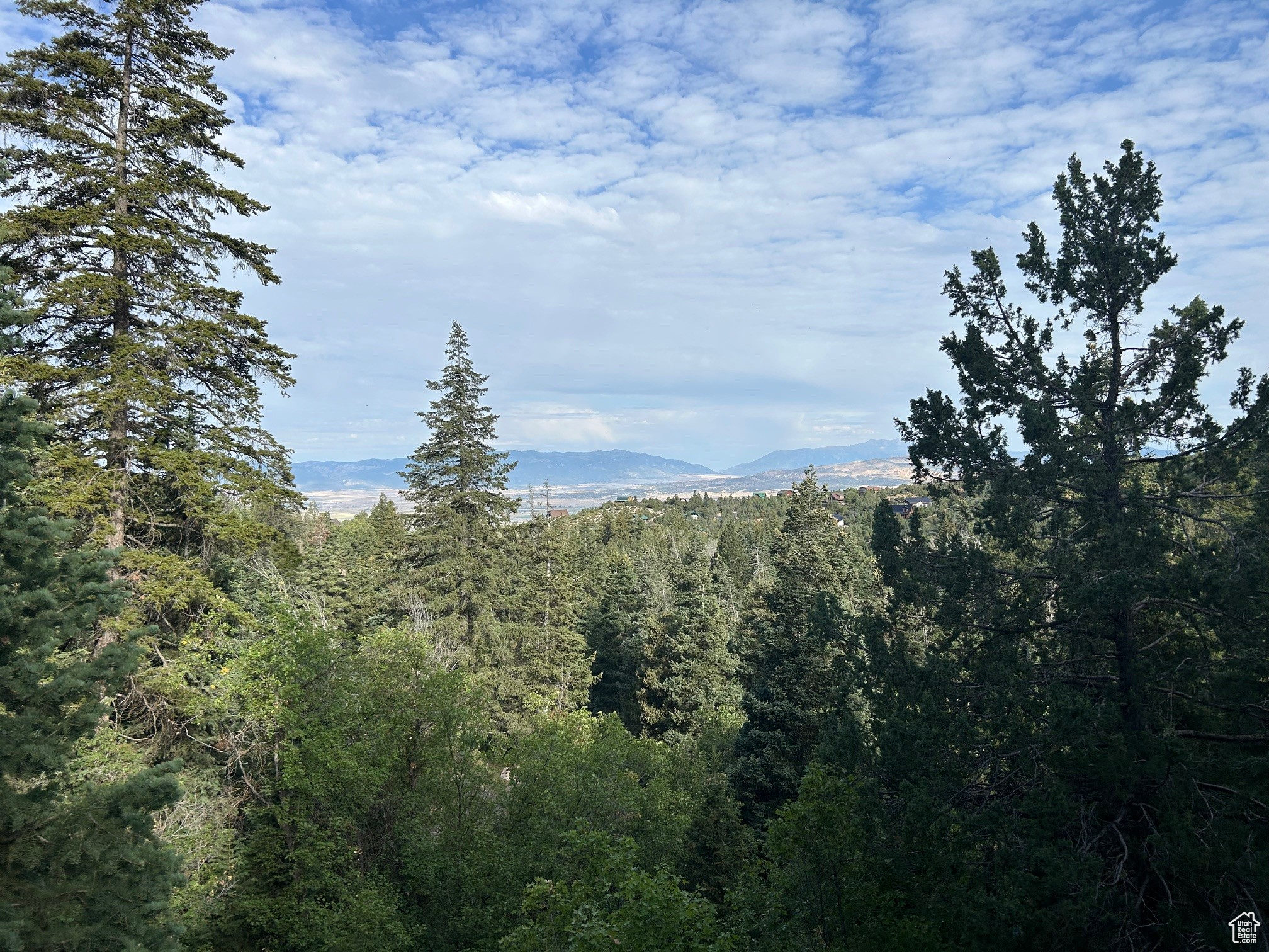 PINE CREEK RANCH - Land