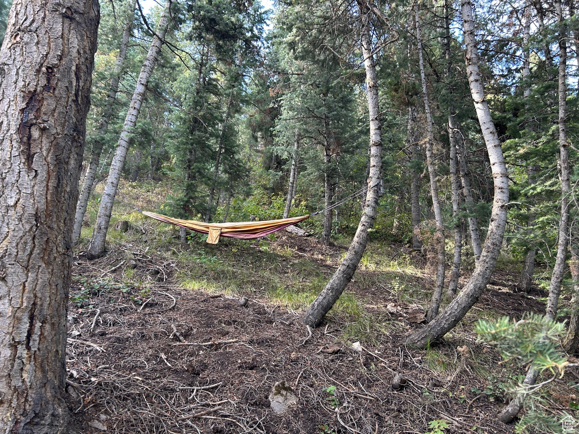 PINE CREEK RANCH - Land