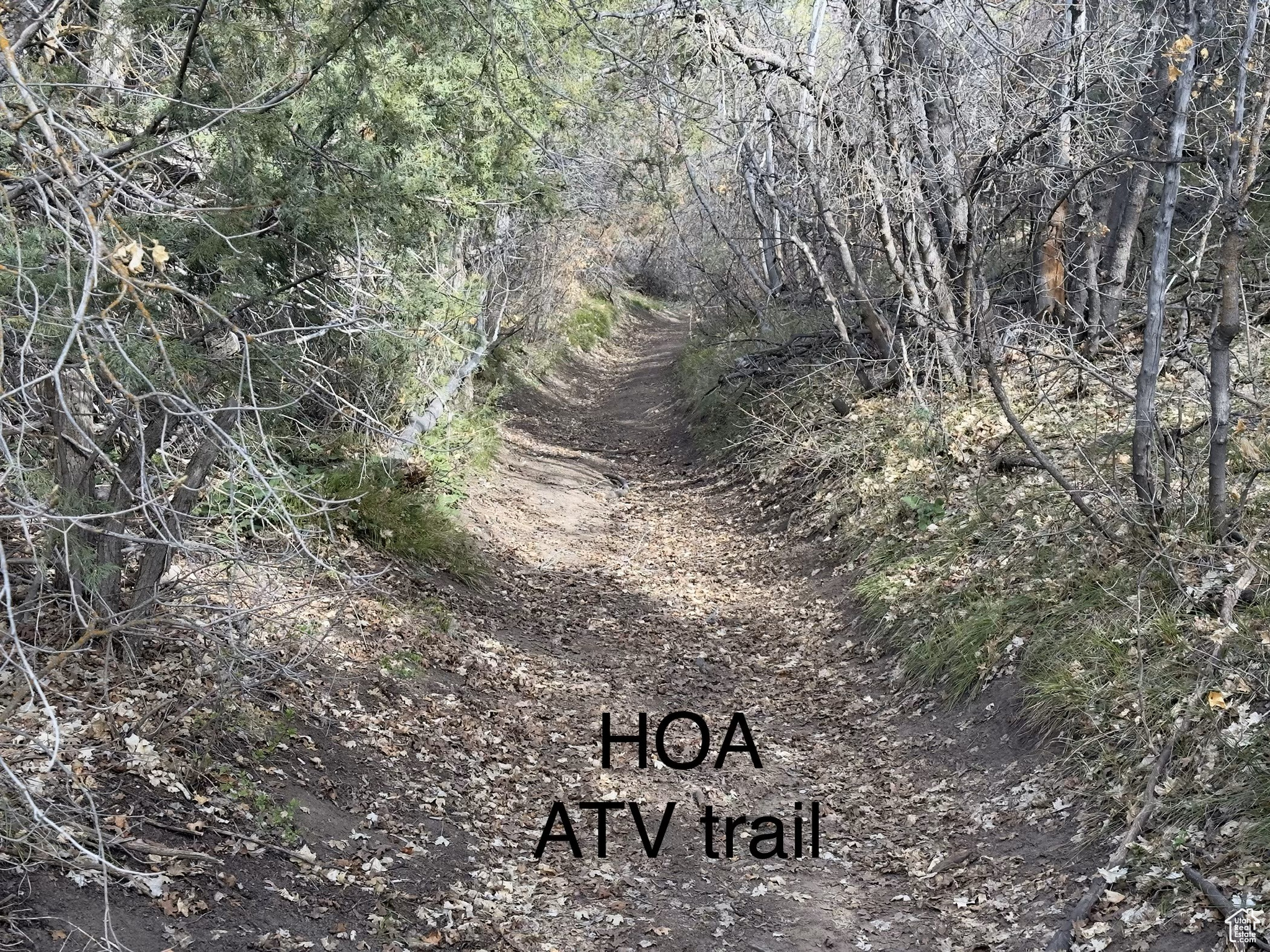 PINE CREEK RANCH - Land