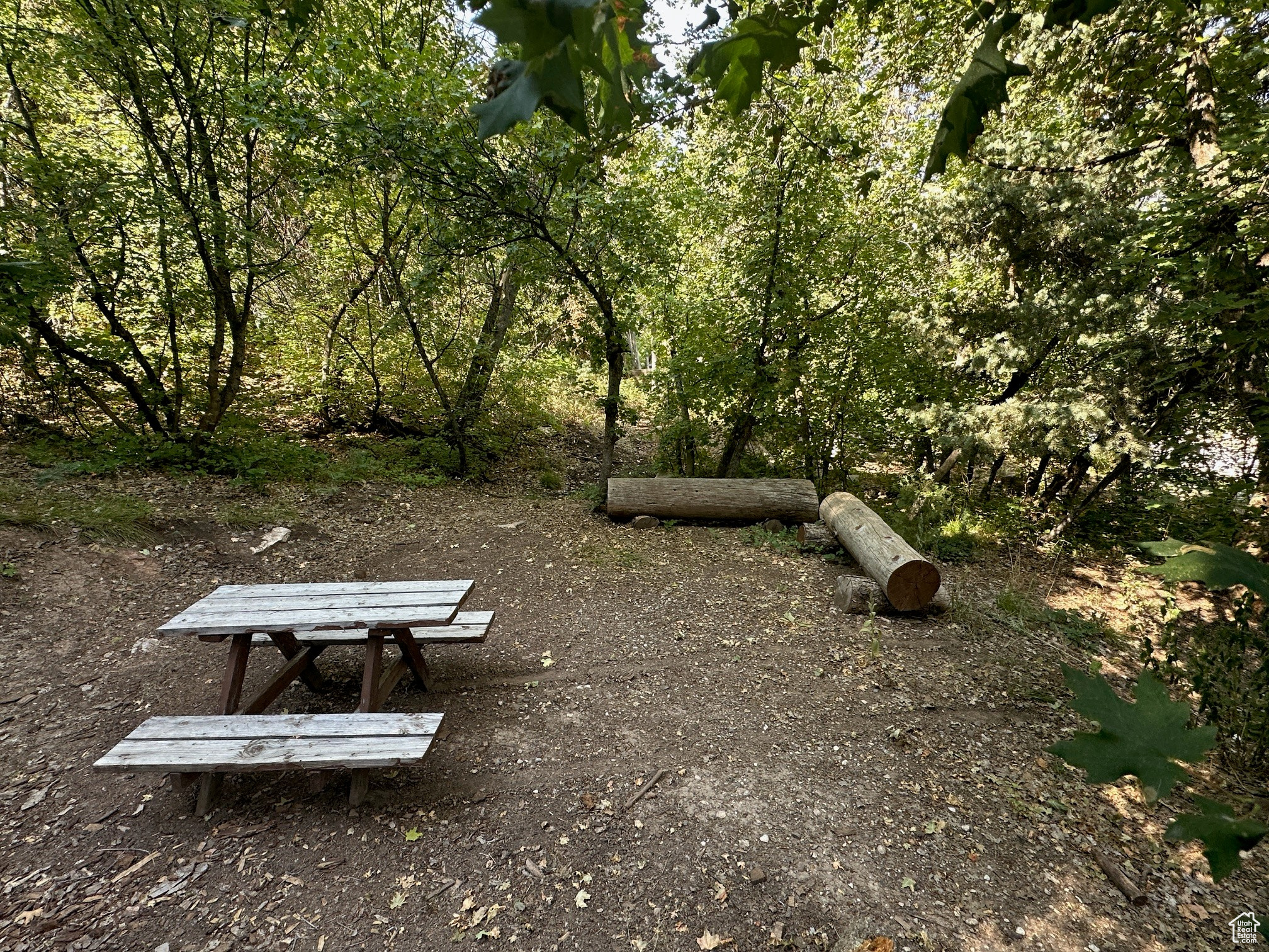 PINE CREEK RANCH - Land