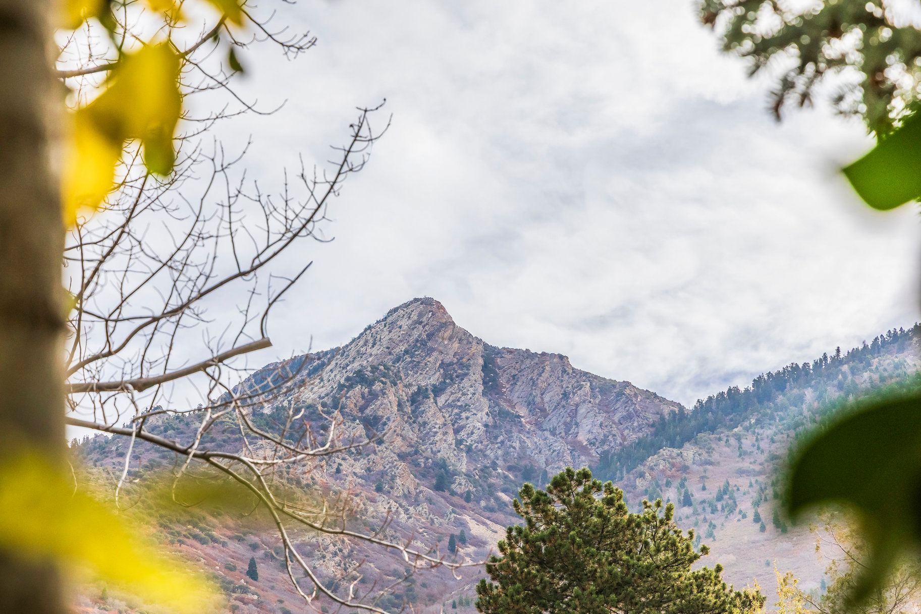 COVE MT OLYMPUS - Residential