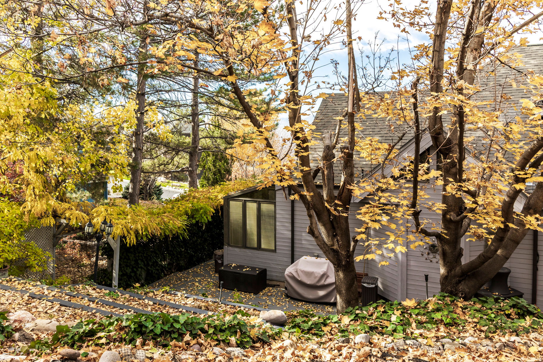 COVE MT OLYMPUS - Residential