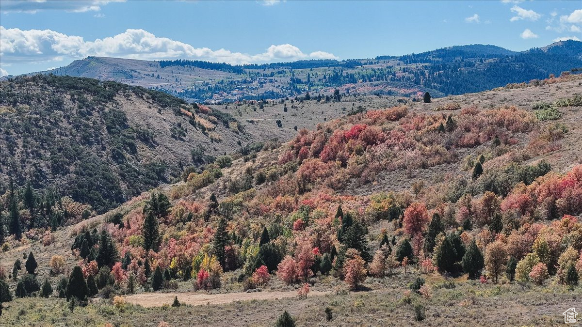 SWAN CREEK VILLAGE - Residential