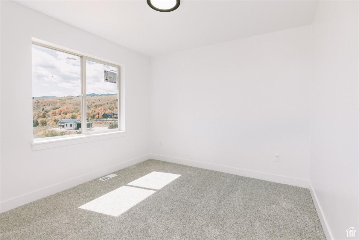 SWAN CREEK VILLAGE - Residential