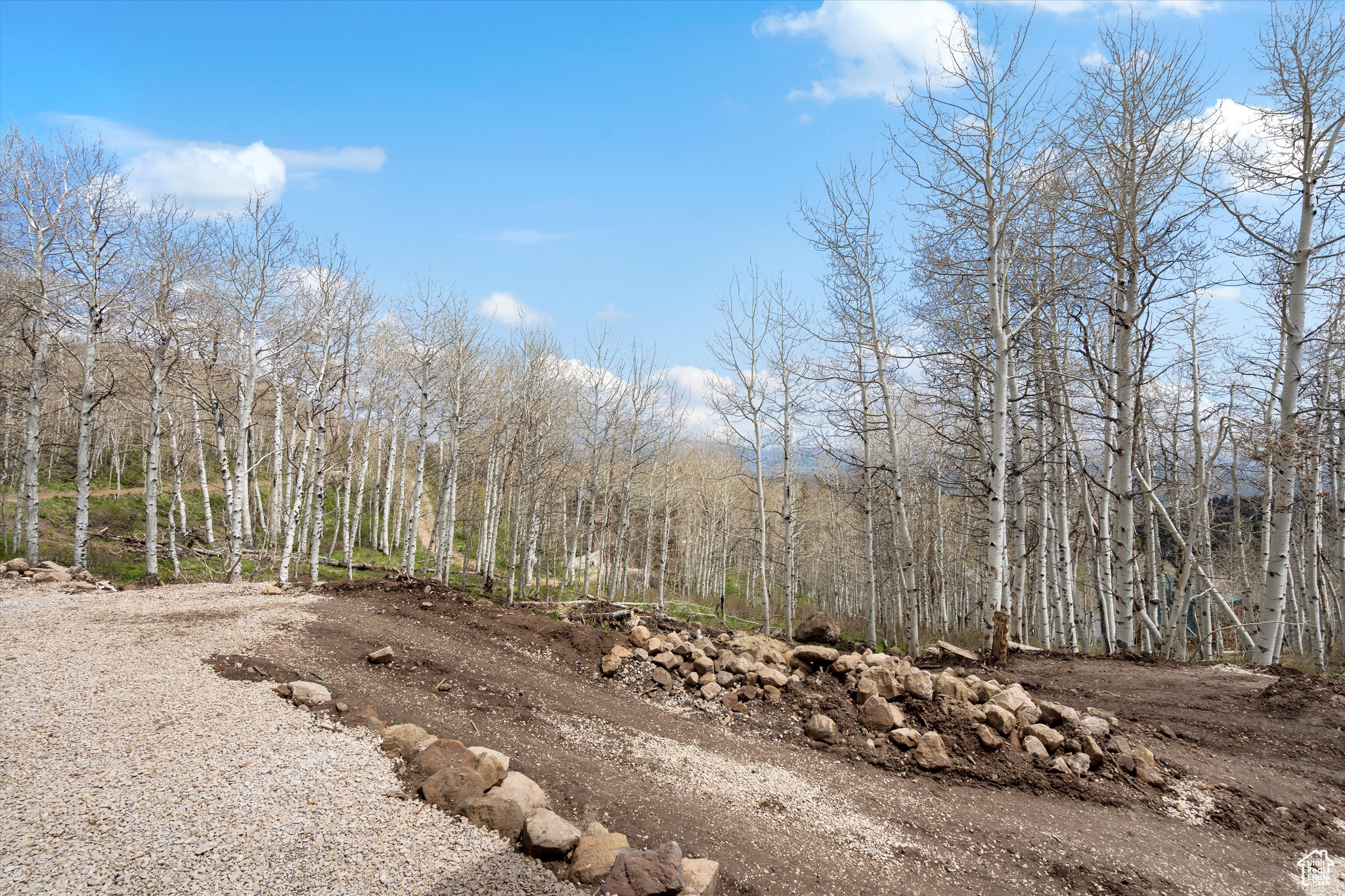 PINE MEADOW RANCH - Residential