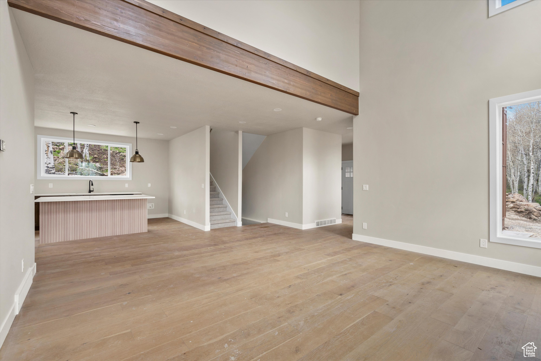PINE MEADOW RANCH - Residential
