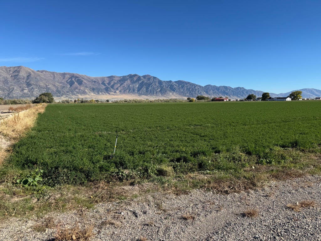 Photo of 9266 N 6000 W #6, Tremonton, UT 84337 (MLS # 2174780)