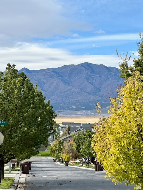 LONE TREE - Residential