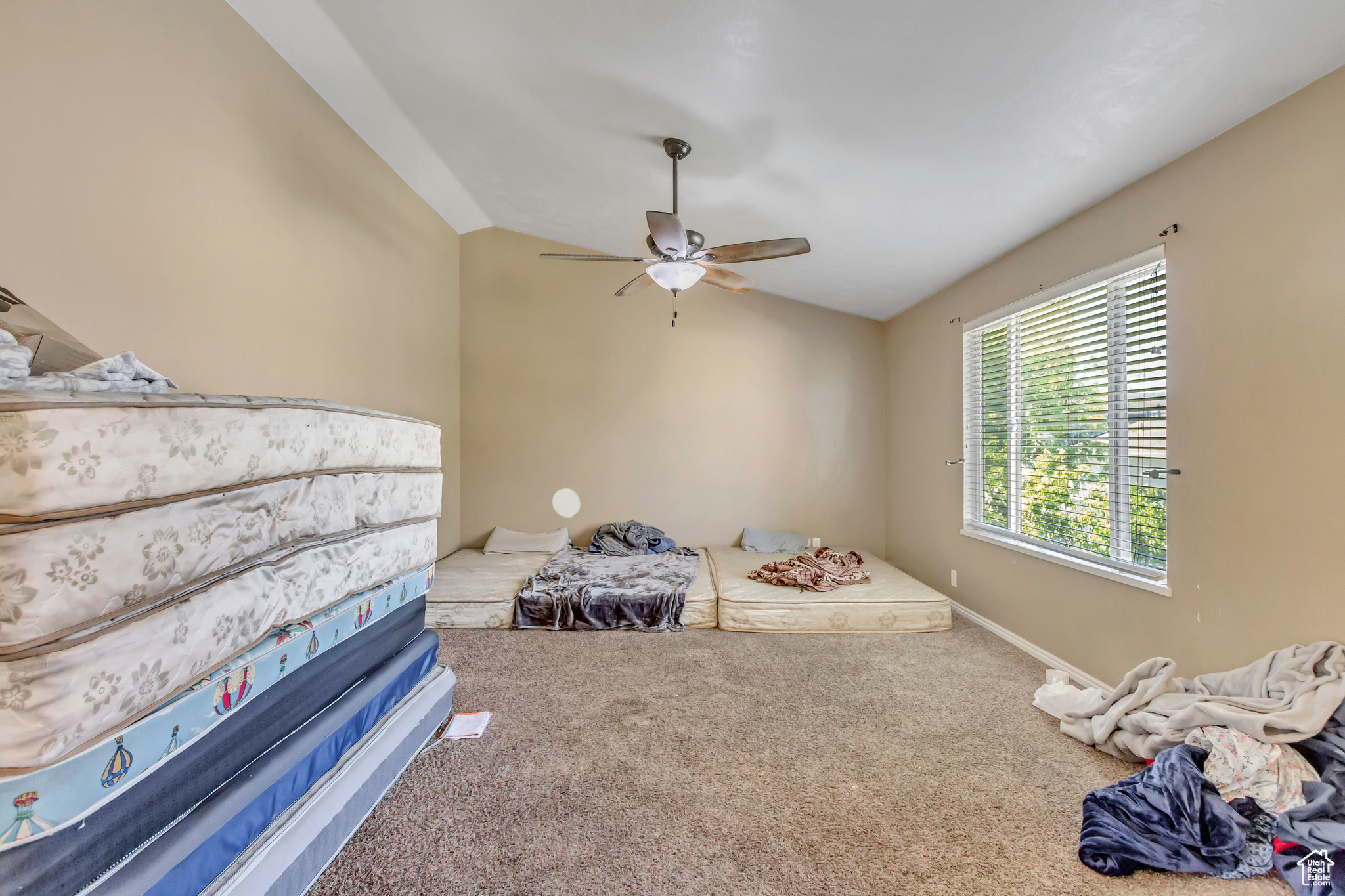 CEDARWOOD ESTATES - Residential