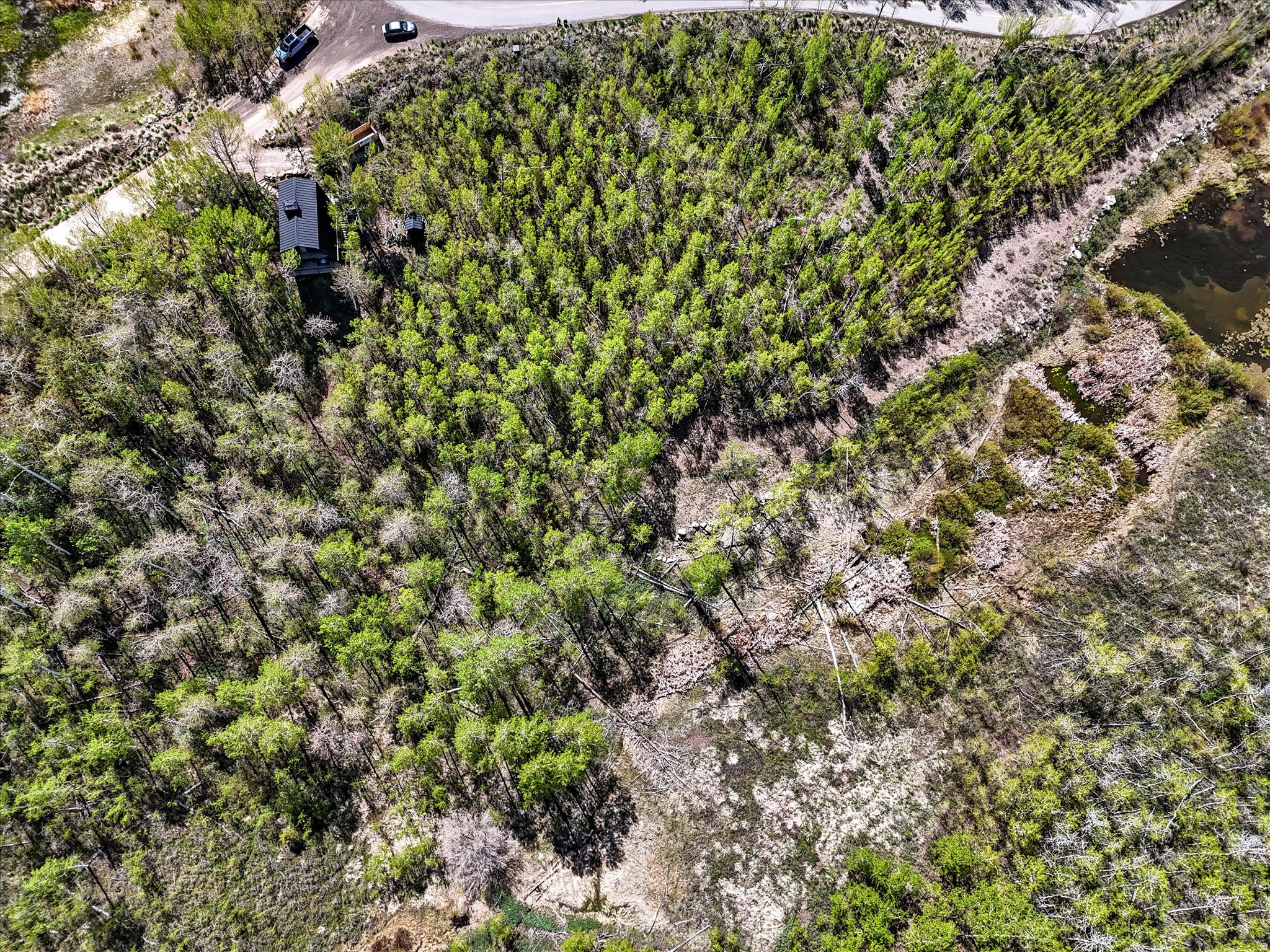 TIMBER LAKES - Residential