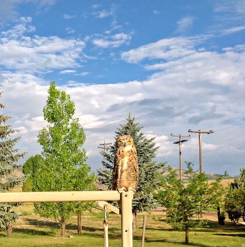 Tiny photo for 6995 W 2200 S, Weston, ID 83286 (MLS # 2140159)