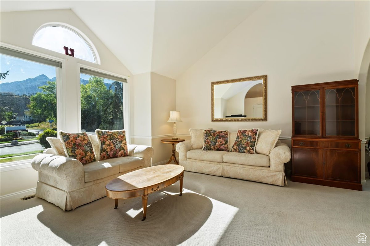 MILL HOLLOW - Residential