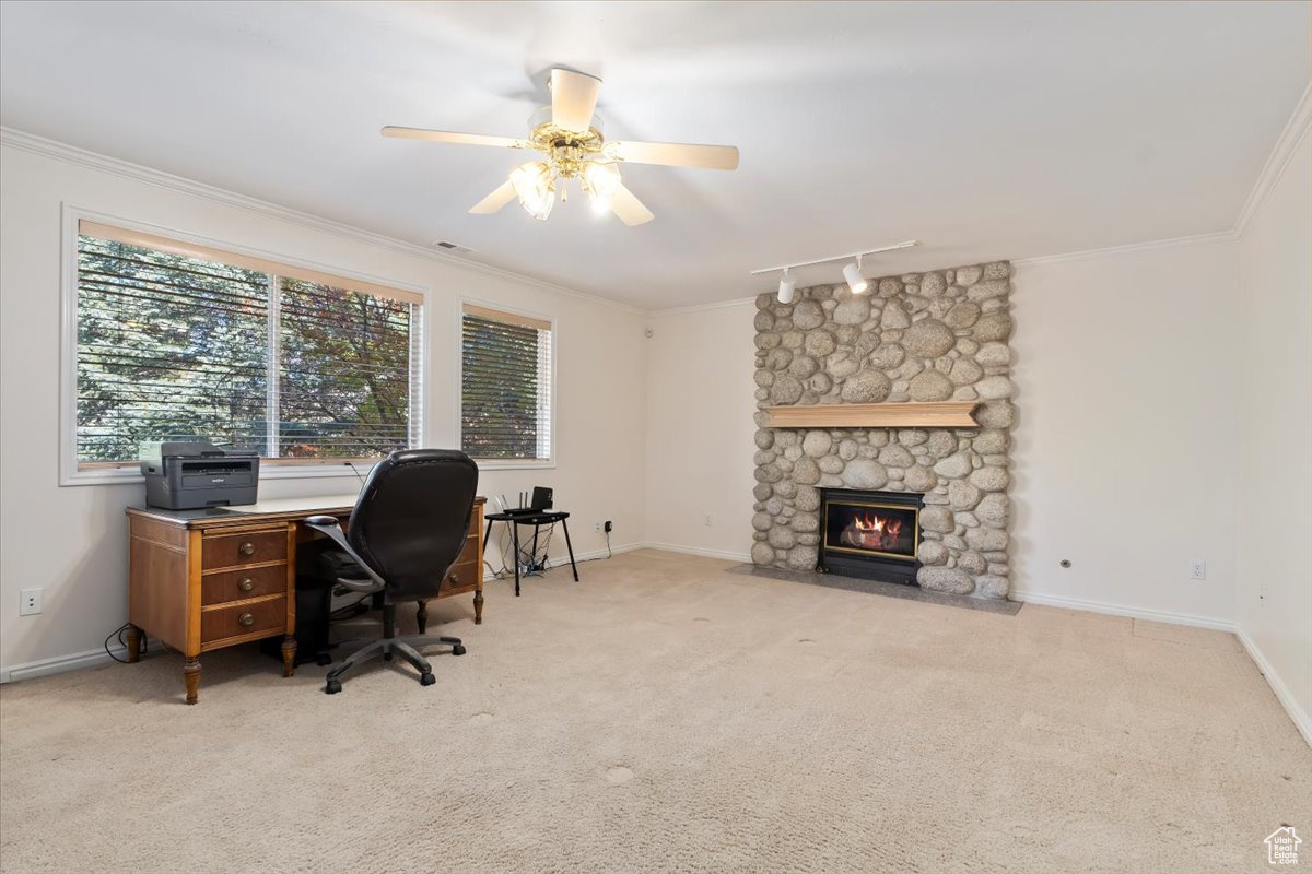 MILL HOLLOW - Residential