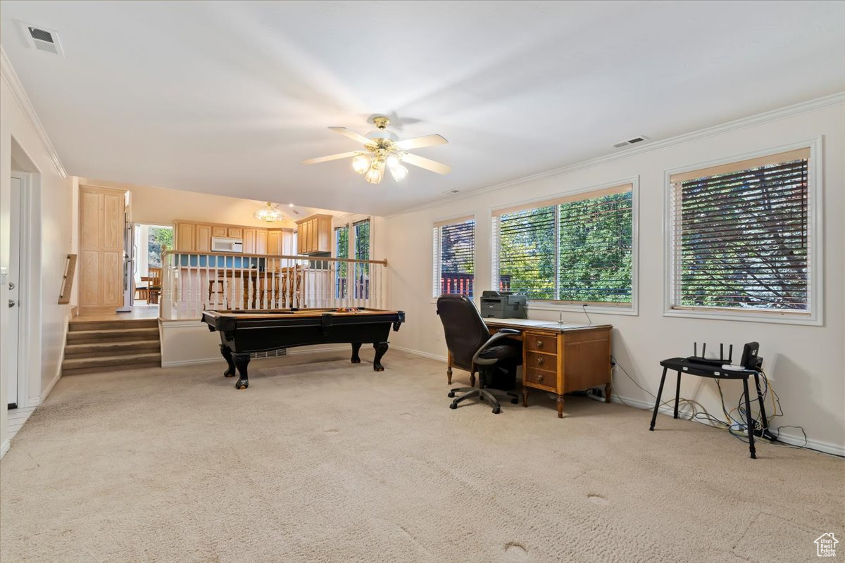 MILL HOLLOW - Residential