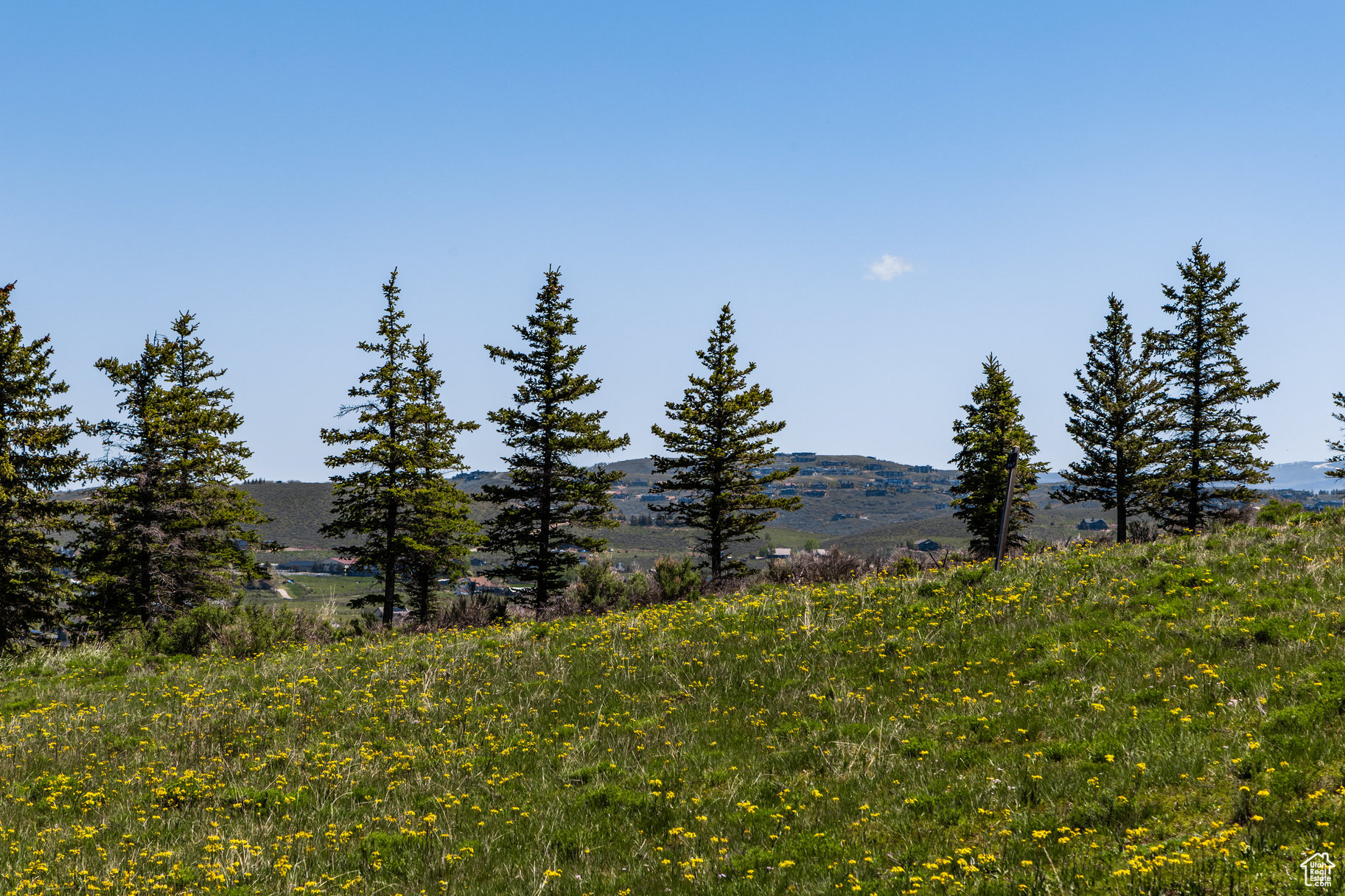 GLENWILD - Land