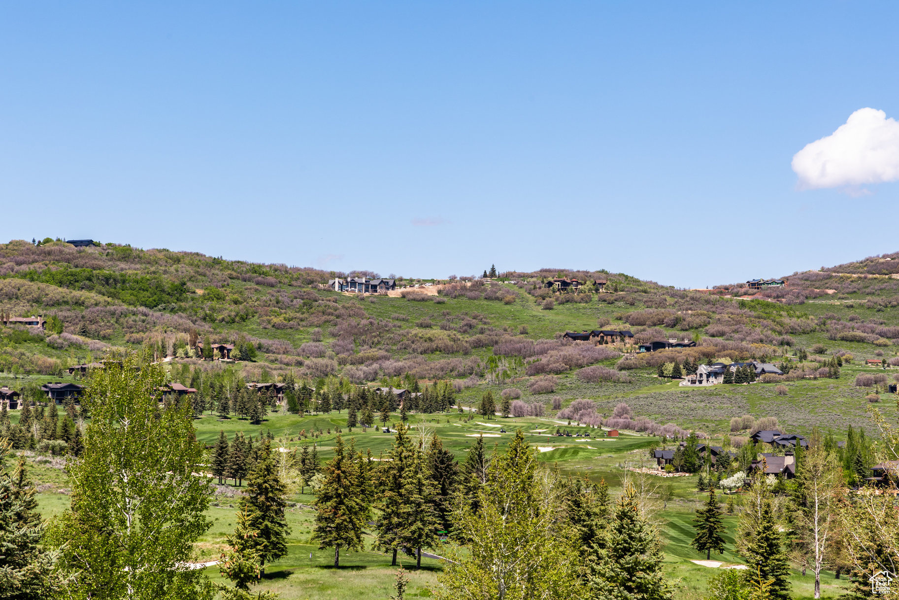 GLENWILD - Land