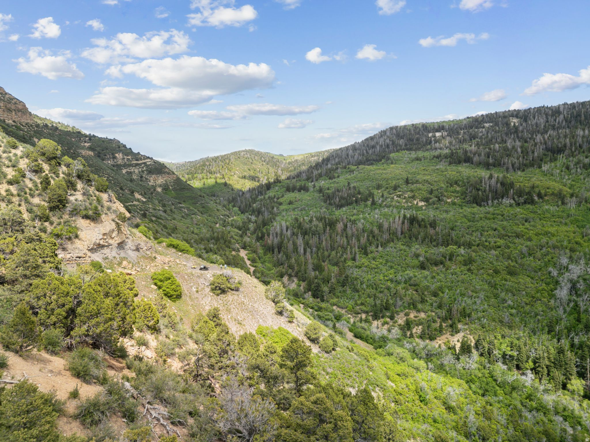 HAWK MEADOWS RANCH - Residential