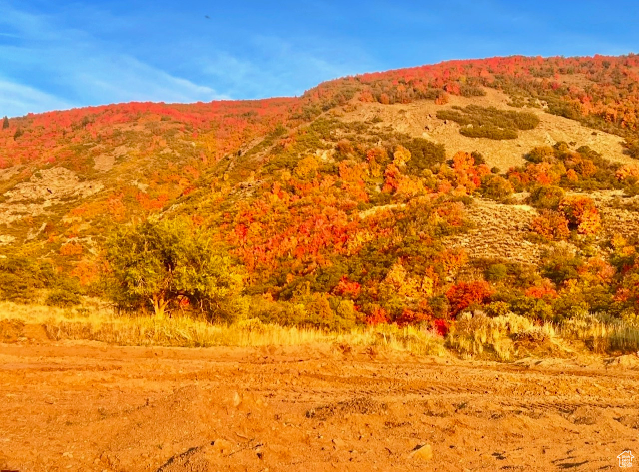 ROCK LOFT RIDGE ESTATES - Land