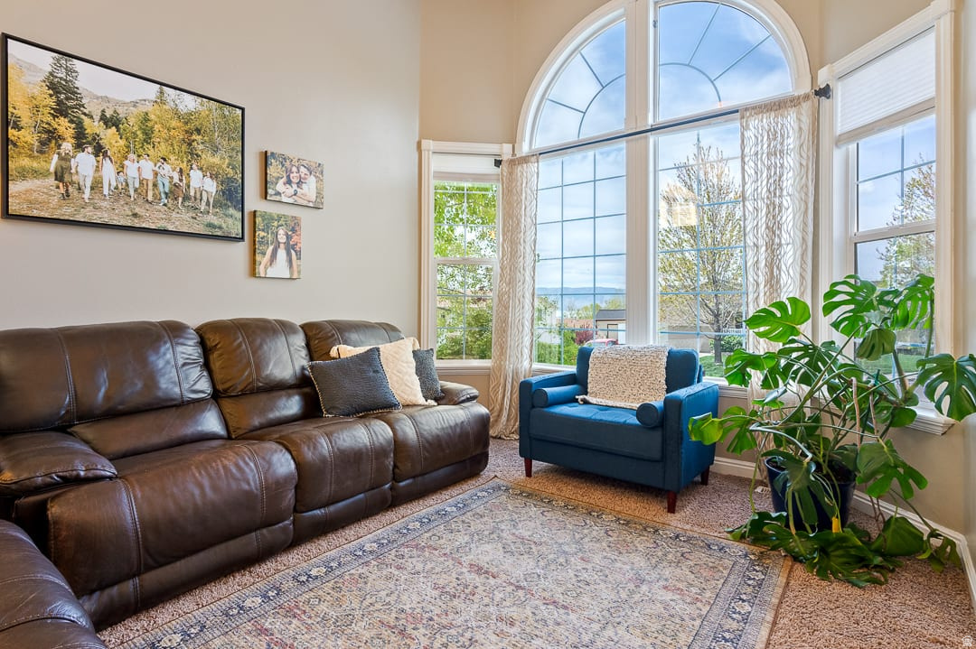 CANYON GROVE - Residential