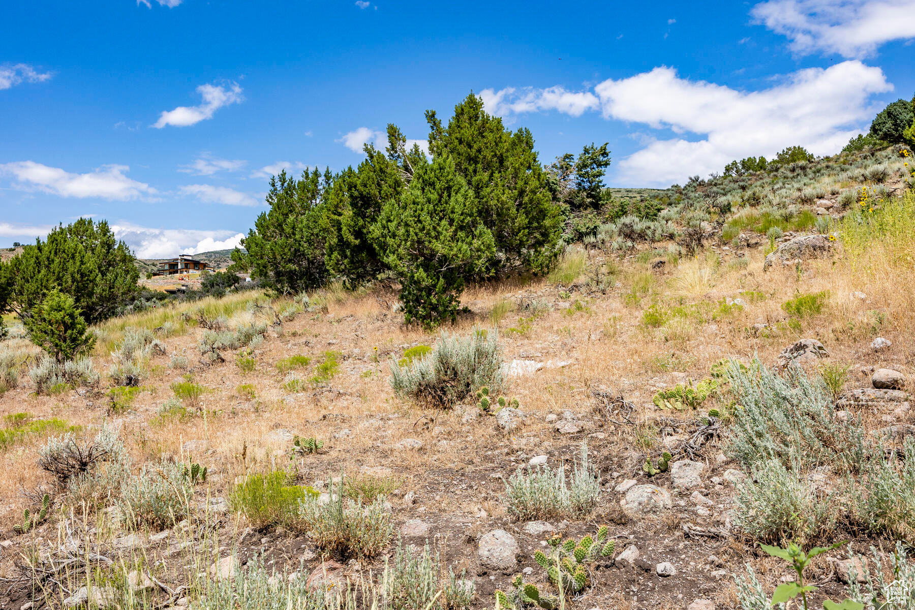 2121 E Flat Top Mountain Dr #727, Heber City, Utah image 46