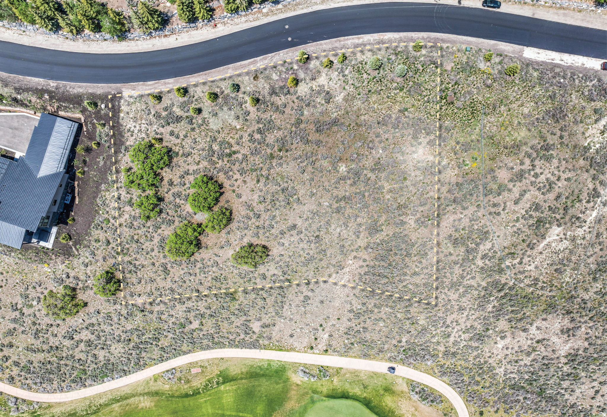 PAINTED SHORES - Land