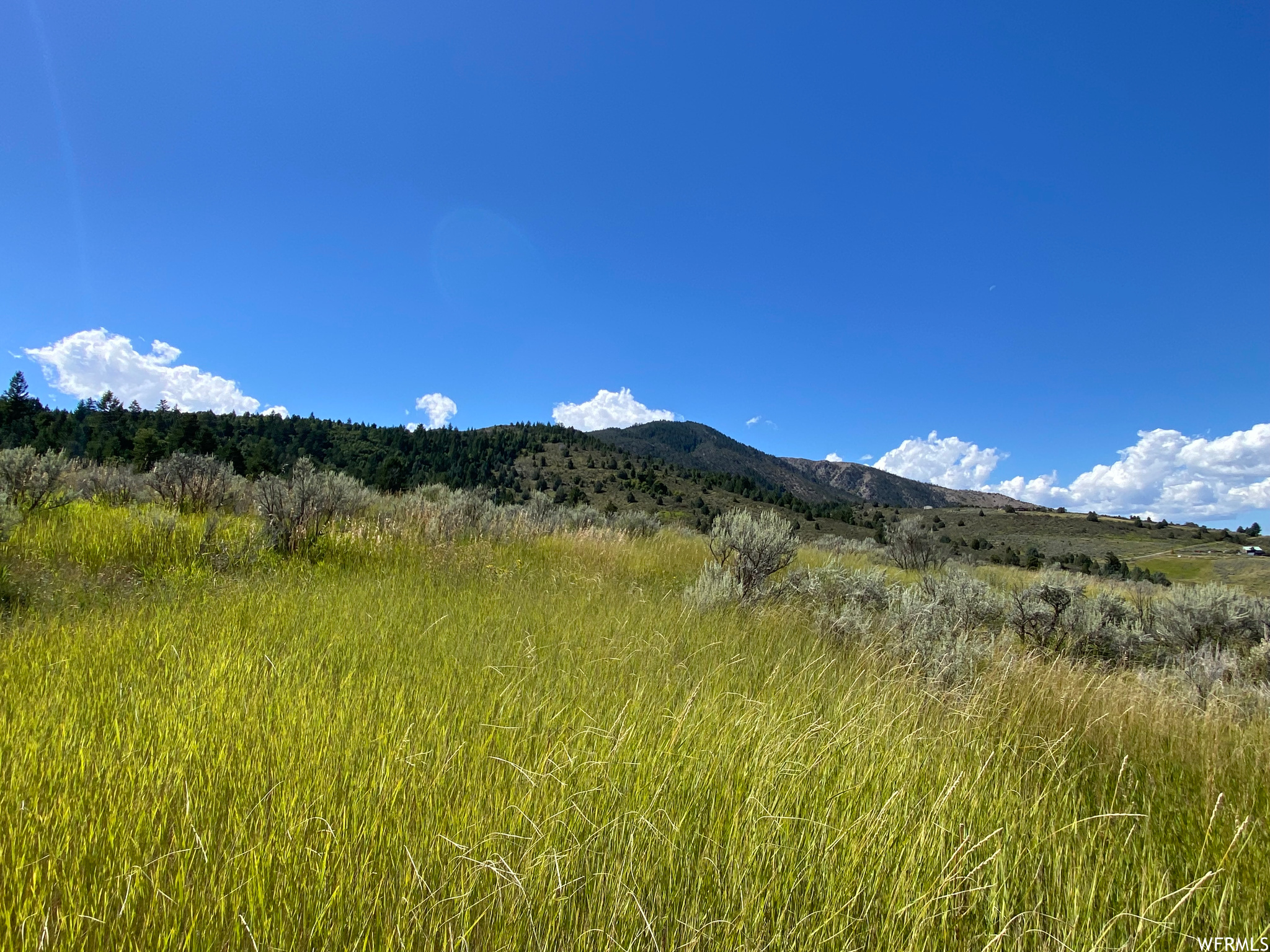 Land, Lava Hot Springs, Idaho image 7