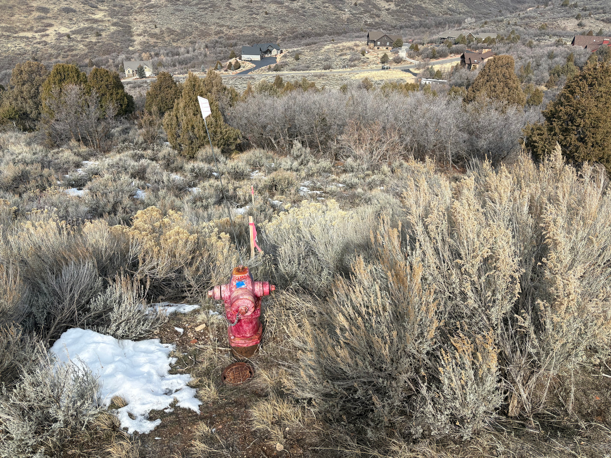 BIG POLE ESTATES - Land