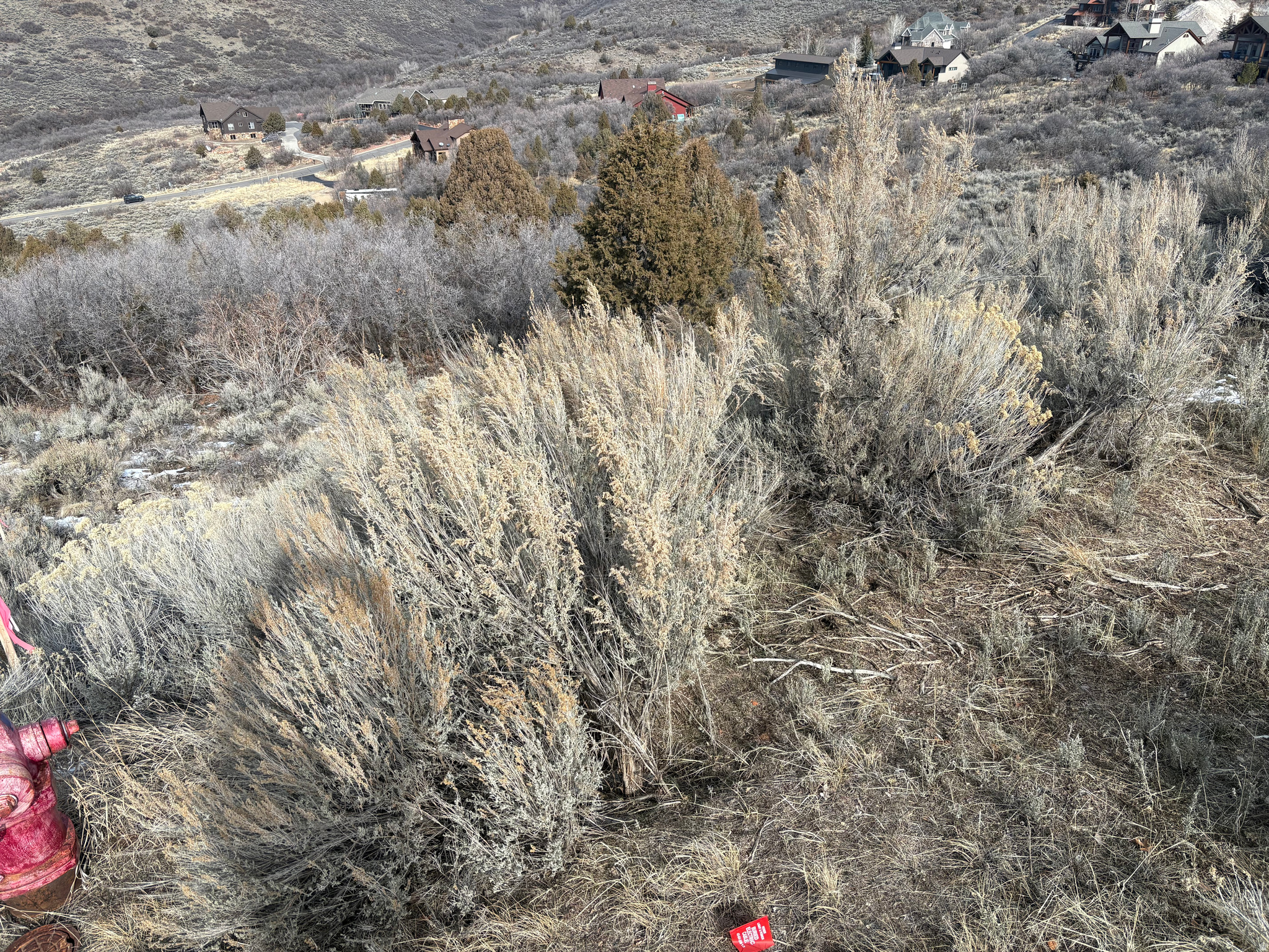 BIG POLE ESTATES - Land