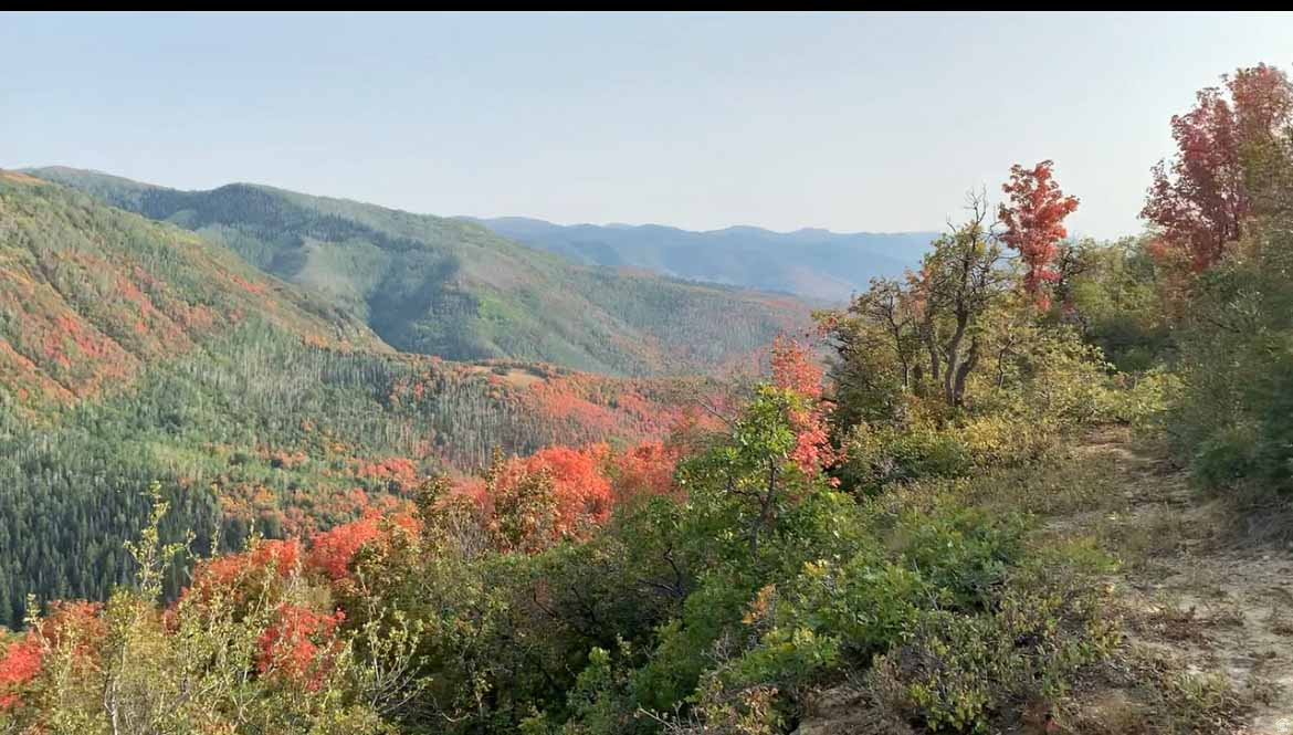 SKYLINE MTN RESORT - Land
