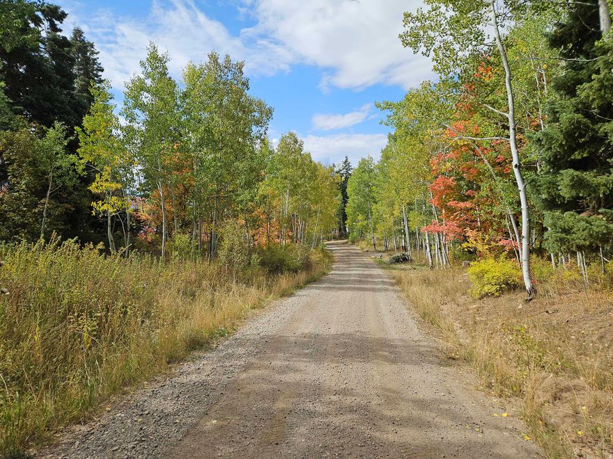 Lot K30 containing 1.63 acres in the Skyline Mtn Resort Subdivision. Located in a very desirable area near the top of the Subdivision. Large pine trees on the property with a great view of the mountains and valley below. Adjacent lots K28 and K30 are also available. This property is in a gated community. Contact listing agent to obtain access and if needed to get directions to the property. Seller Financing is available.