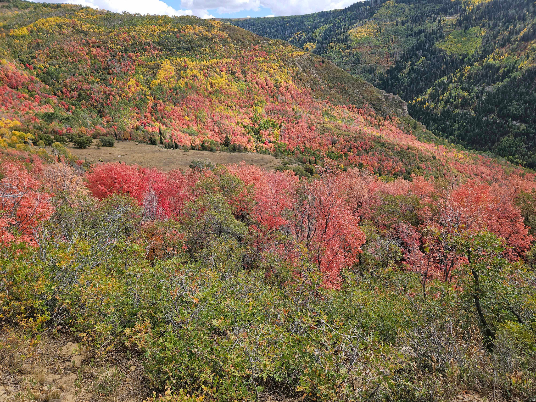 SKYLINE MTN RESORT - Land