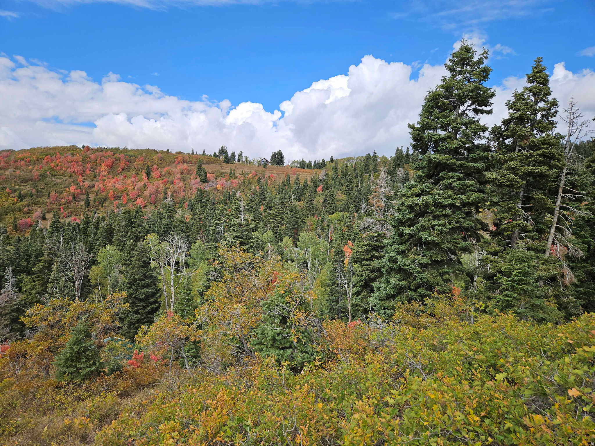 SKYLINE MTN RESORT - Land