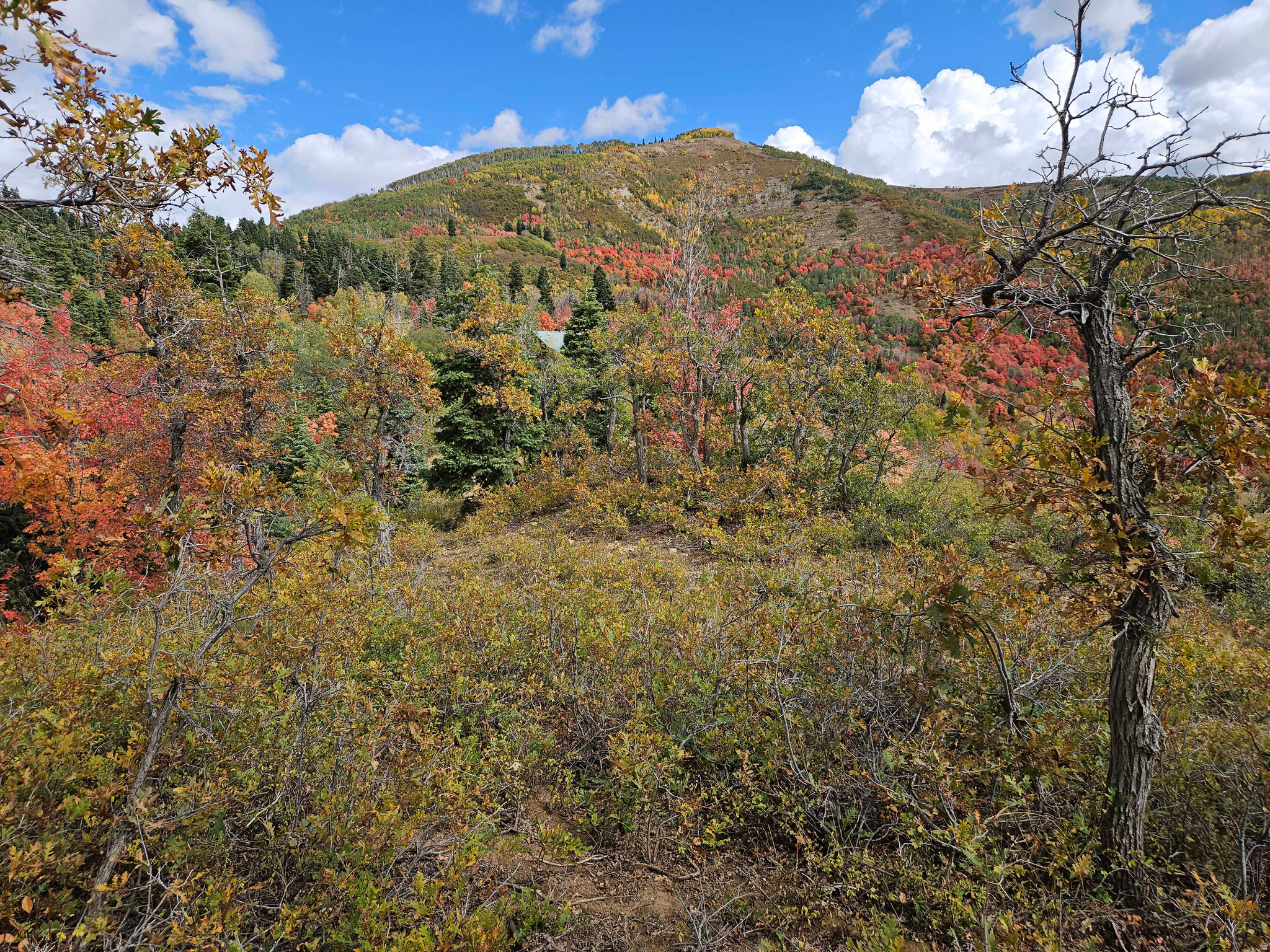 SKYLINE MTN RESORT - Land