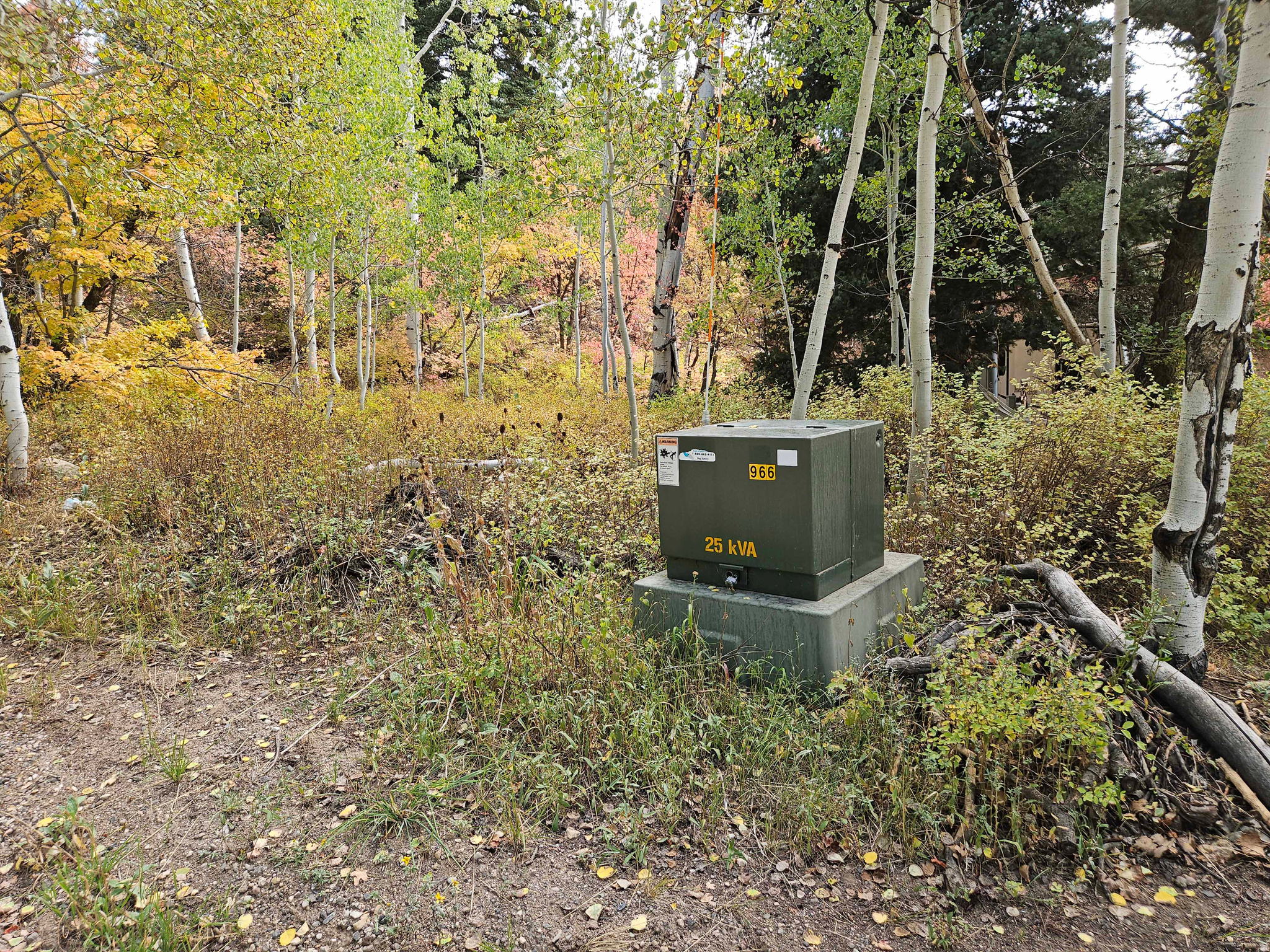 SKYLINE MTN RESORT - Land