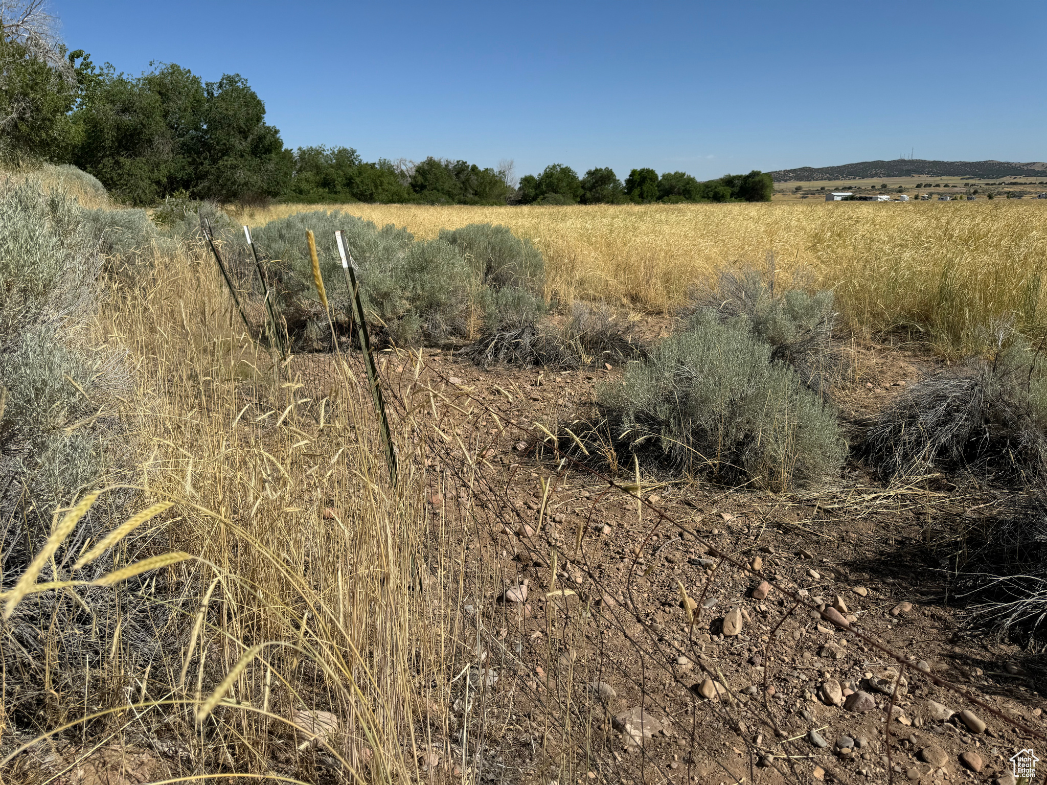 915 N 100, Fillmore, Utah image 7