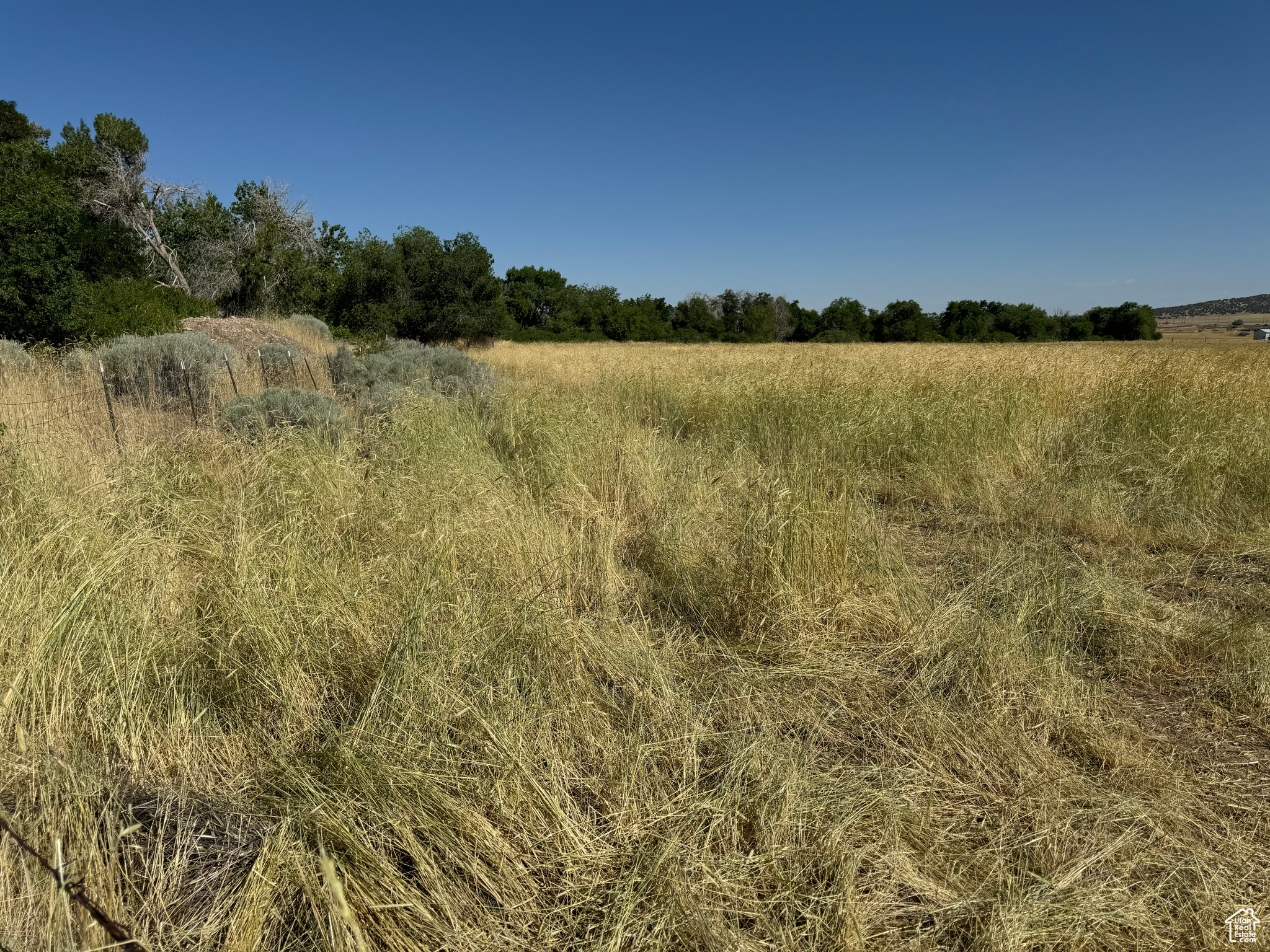 915 N 100, Fillmore, Utah image 4