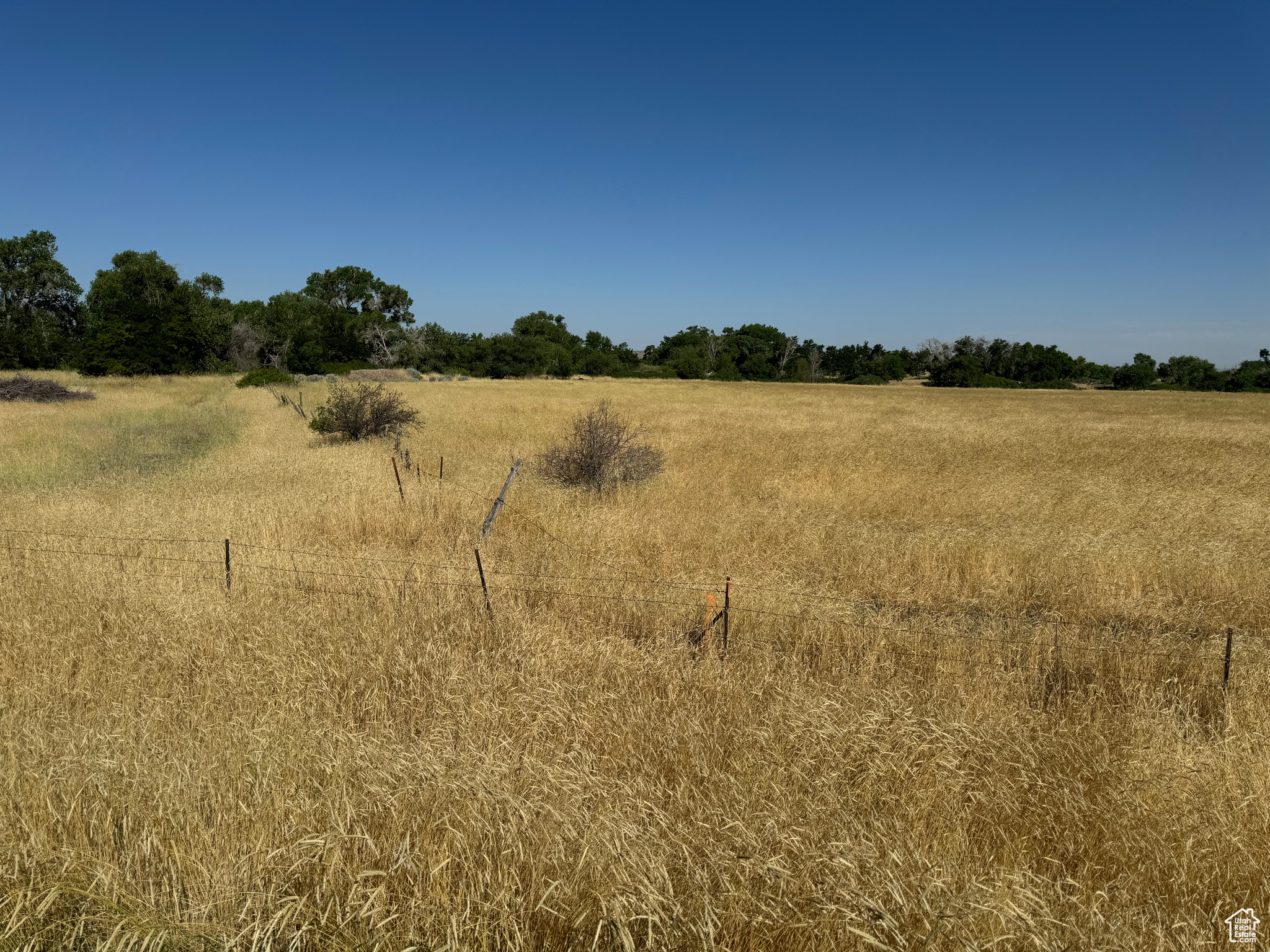 915 N 100, Fillmore, Utah image 17